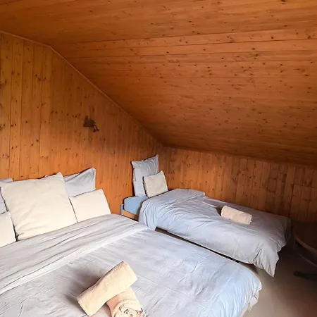 Cozy Le Lezard With Mountain View Fireplace *