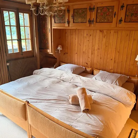 Cozy Le Lezard With Mountain View Fireplace Chalet Les Diablerets