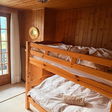 Cozy Le Lezard With Mountain View Fireplace * Les Diablerets