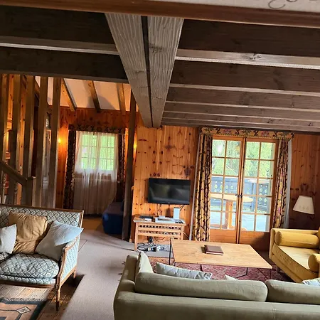 Chalet Cozy Le Lézard With Mountain View Fireplace Les Diablerets